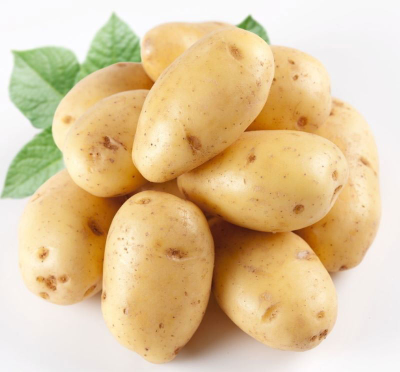 Potato